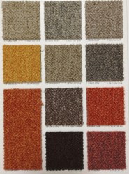330 D-ESS | Moquette a quadrotte - Cart. Colori 1